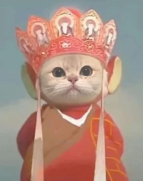 Bố cục đơn giản giúp biểu cảm tạo tiếng cười rõ nét