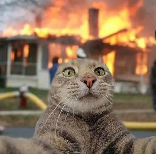 Sự vô tình tạo nên mắc cười vô tình