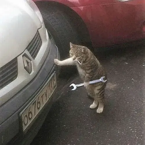 Cảm xúc chủ đạo vui vẻ lan tỏa qua hình ảnh