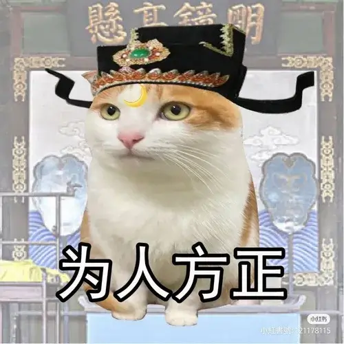 Dáng ngồi lạ làm nên khoảnh khắc khó đỡ