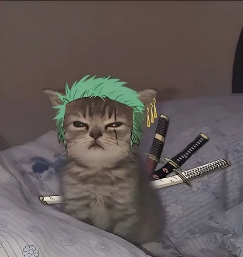 Hình đại diện cute thể hiện ánh mắt tròn xoe tạo khoảnh khắc khó đỡ