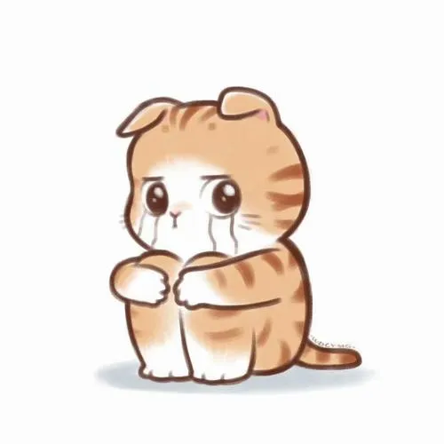 Mèo ngơ ngác nhìn thẳng ánh nhìn chạm cảm xúc