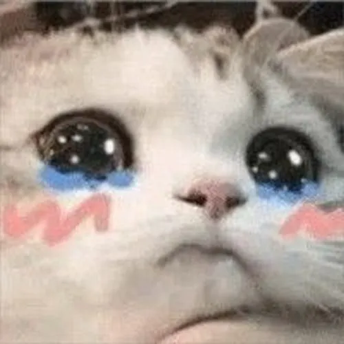 Hình avatar cute mèo buồn bã nổi bật ánh mắt gắn với cảm xúc