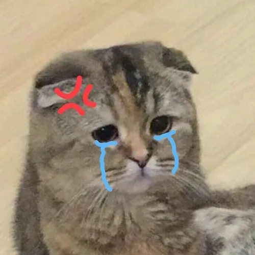 Ảnh avatar mèo buồn trong màu pastel tạo tâm trạng trầm lắng