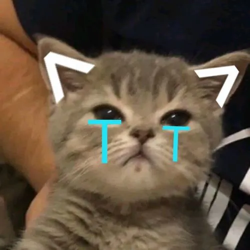 Mèo suy tư chính diện cận mặt truyền câu chuyện cảm xúc