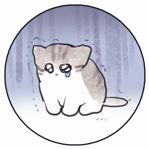 Avatar mèo khóc và lý do ai cũng từng dùng một lần