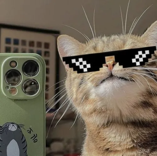 Avatar mèo khóc cho những ai đang cần được hiểu