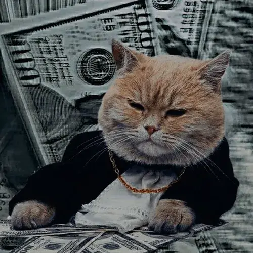 Phong thái mèo mạnh mẽ trong không khí cô độc và phông nền trầm