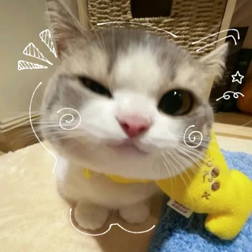 Sự gắn kết hình khối tạo cảm giác xa cách