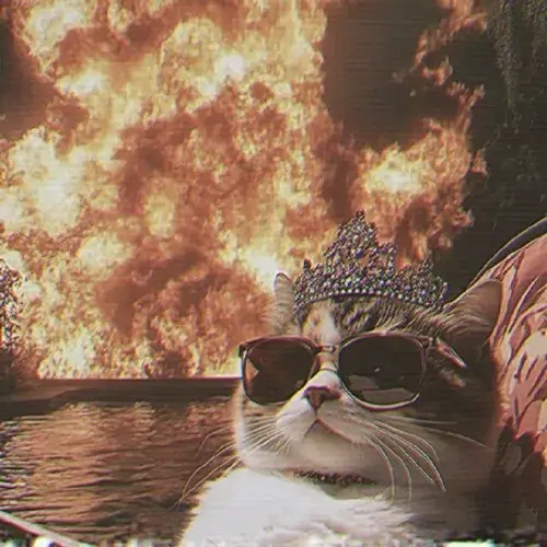 Hình profile cute mèo hòa phông nền tối cùng khói mờ