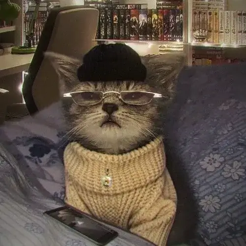 Ảnh avatar mèo ngầu thể hiện nhìn thẳng không né