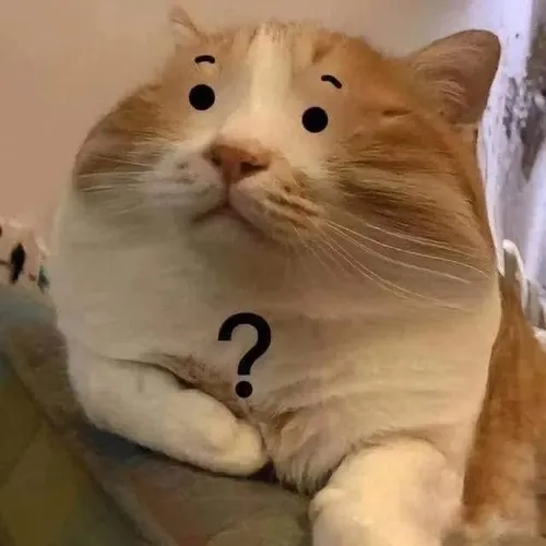 Tinh thần hình ảnh mèo bựa đúng chất bựa mà dễ thương