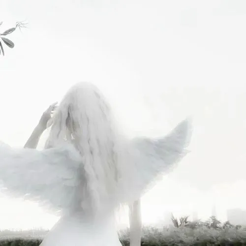 Avatar màu trắng và cảm giác yên tĩnh hiếm hoi trên dòng thời gian