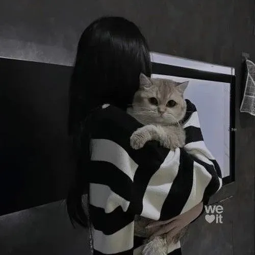 Avatar mèo tối giản mà vẫn đủ cảm xúc