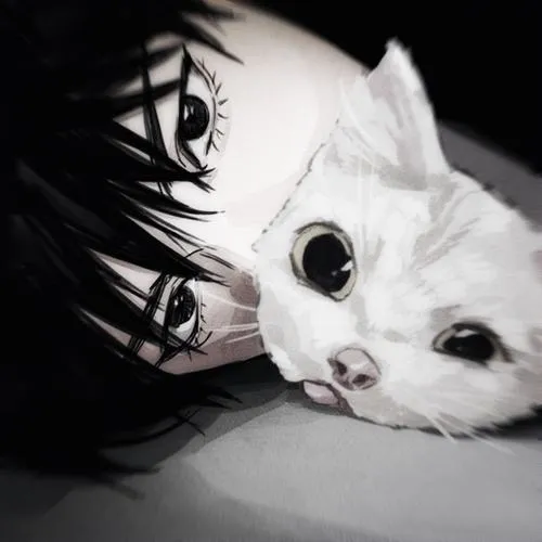 Cảm xúc hình ảnh mèo nhà tạo vừa lạnh lùng vừa đáng yêu