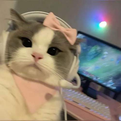 Tổng thể hình ảnh mèo nhà tạo dễ mến tự nhiên