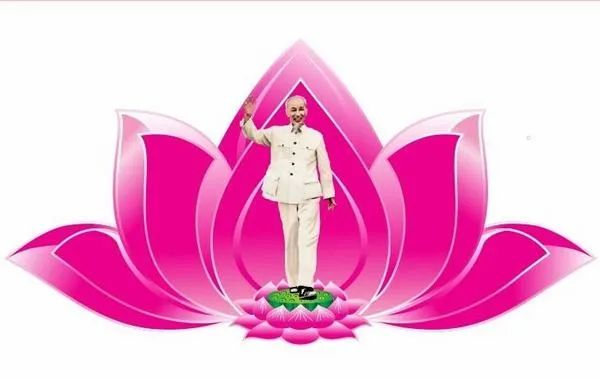 Hình lá sen thuộc cụm sen làm nền xanh lá cân bằng sắc đỏ