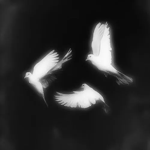 Không gian tang lễ thể hiện sự tôn trọng qua phong cách tối giản sâu lắng