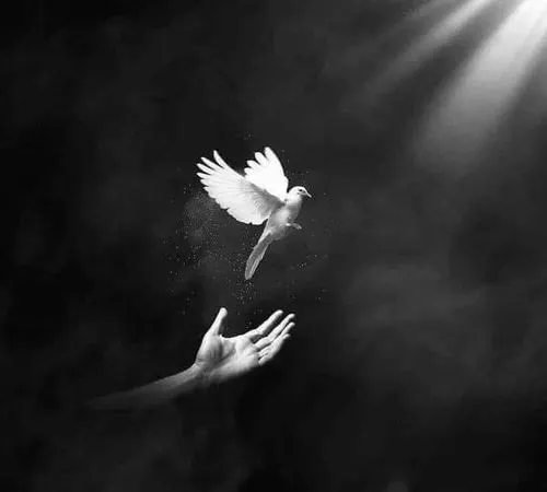 Ảnh đại diện trang nghiêm mang áo đen nền mờ cảm xúc trầm