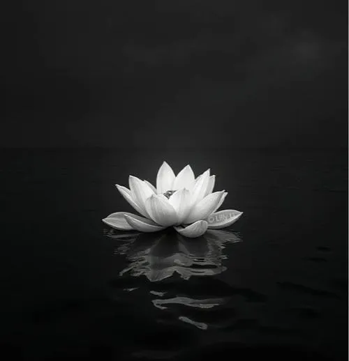 Khoảng trống nhiều giúp cảm xúc buồn lan tỏa tự nhiên