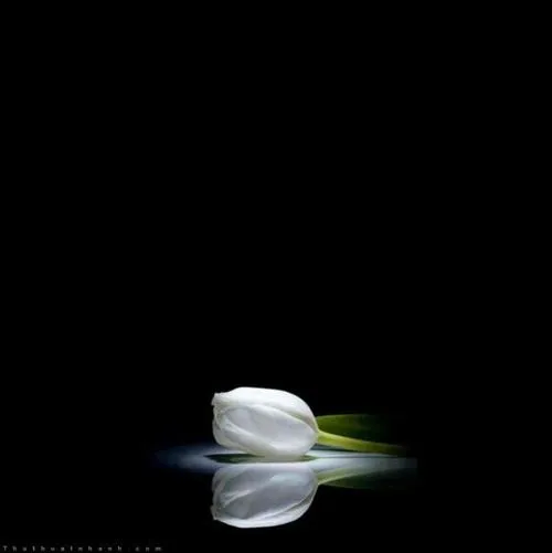 Sự tưởng nhớ hiện diện qua khuôn mặt ánh mắt trầm