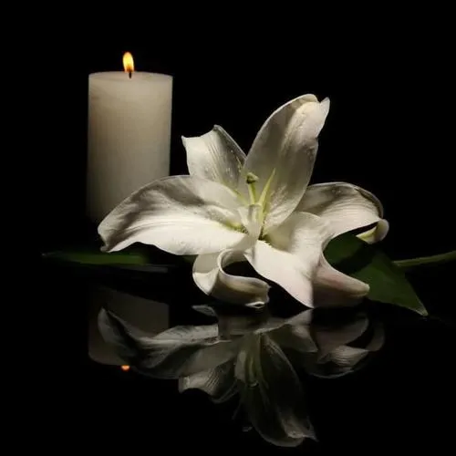 Hình đại diện buồn đám tang mang ánh sáng mềm bố cục đơn giản lắng buồn