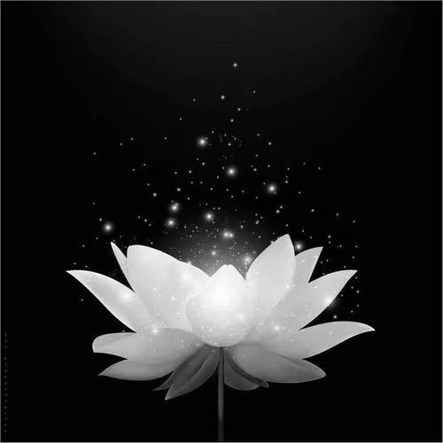 Thời gian chia buồn cần hình ảnh truyền tải mất mát trang nghiêm