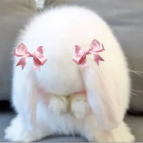 Màu thuộc phong cách pastel khiến avatar thỏ thêm nhẹ nhàng