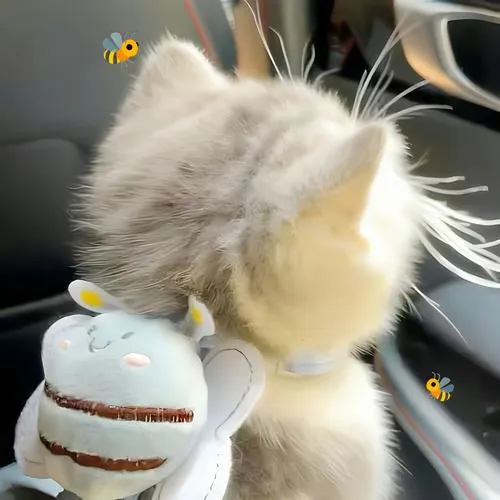 Avatar chó con ngộ nghĩnh, nhìn một lần là nhớ, hợp cả công việc lẫn chơi