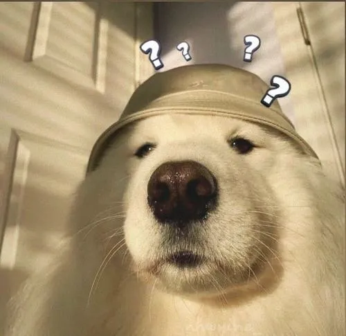 Nền tối giản giữ lười dễ nhận diện trên app