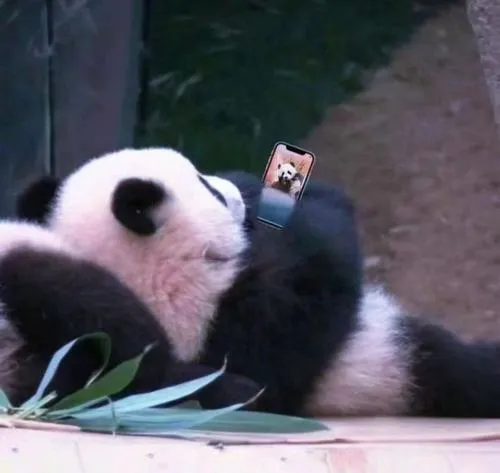 Đặt màu chủ đạo và màu nhấn giúp dễ nhận ra