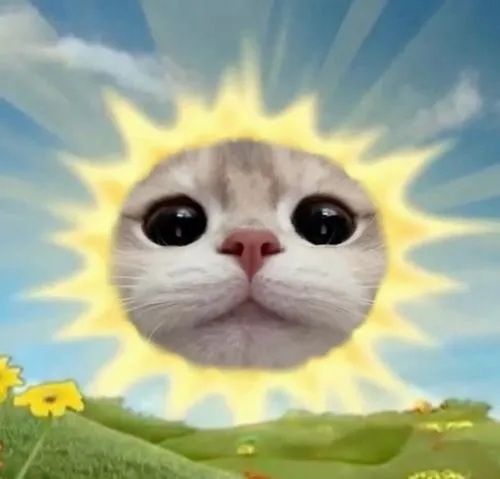 Ảnh trang cá nhân mặt cười tỉnh bơ nhây