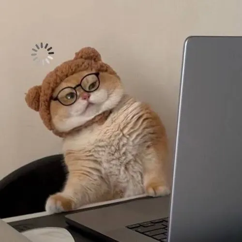 Hình đại diện hài hước bựa lầy, bí kíp gài miếng mà không phản cảm