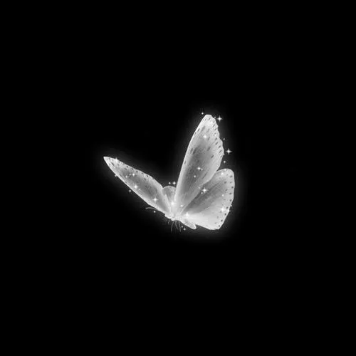 Bố cục đơn giản kết hợp khoảng trống mang thông điệp im lặng