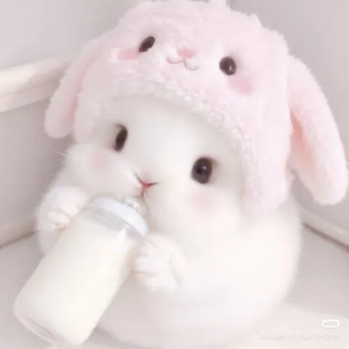 Ảnh profile Zalo tăng độ tin cậy với khuôn mặt rõ và nền ảnh sạch