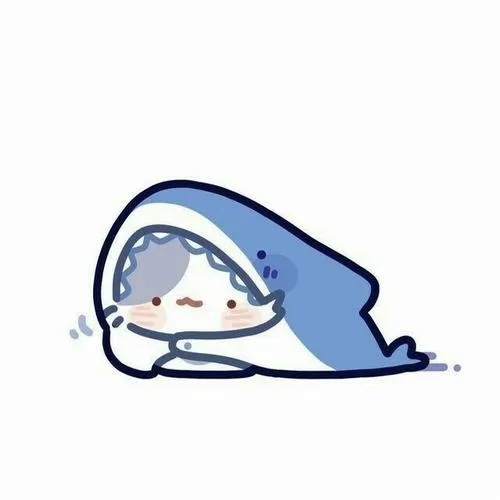 Ảnh profile Zalo và cảm giác đầu tiên khi người khác mở khung chat