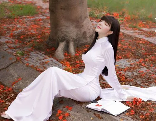 Sân trường gồm hành lang và hàng cây xanh