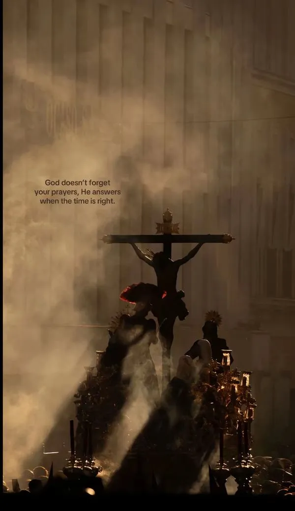 Cánh hoa huệ tượng trưng thanh khiết trong ánh sáng: dịu