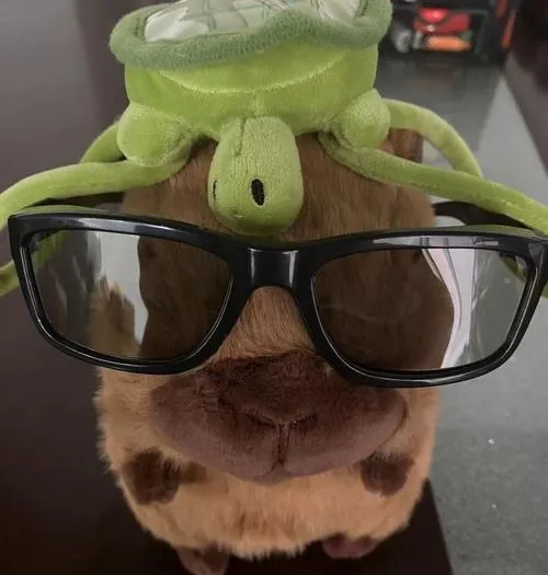 Thú gặm nhấm hiền lành với thân hình bầu bĩnh đầy thiện cảm