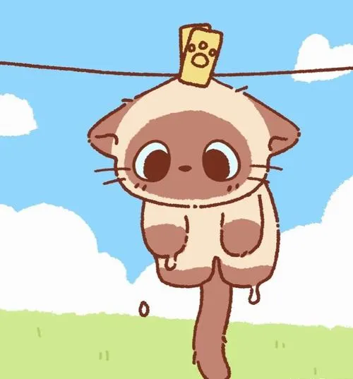 Ảnh đại diện động vật dễ thương, chọn đúng một tấm là vibe hiền khô rõ ngay