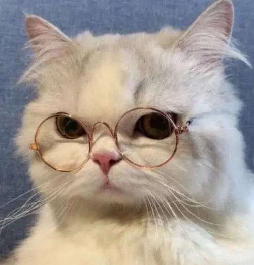 Rilakkuma trong tranh minh họa thân thiện sáng sủa