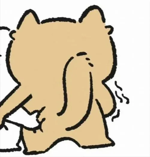 Avatar cặp vô tri đáng yêu phối phông nền trơn tạo kết nối hình ảnh tinh tế