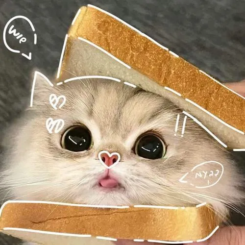 Ảnh cá nhân Zalo chó con nụ cười nhẹ tông pastel