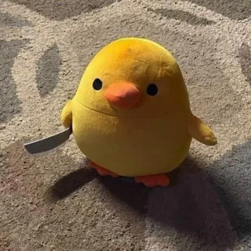 Avatar động vật đáng yêu nhưng không sến, bí kíp nằm ở nền trơn và ánh sáng mềm