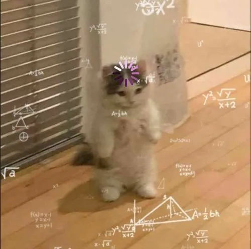 Ánh sáng phẳng làm nổi mèo vô tri đầy nét hài