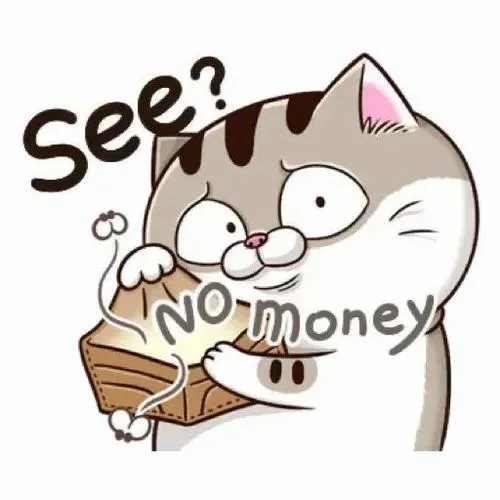 Ảnh đại diện mèo nhây tạo tương tác cao trên trang cá nhân