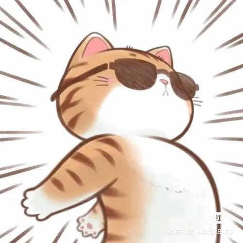 Cảm giác bất ngờ xuất hiện từ biểu cảm mèo cận mặt