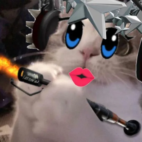 Khoảnh khắc meme động vật gây cười không cần chữ