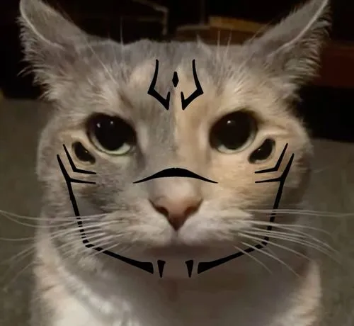 Khoảnh khắc mèo meme ghi dấu độ khó đoán cao