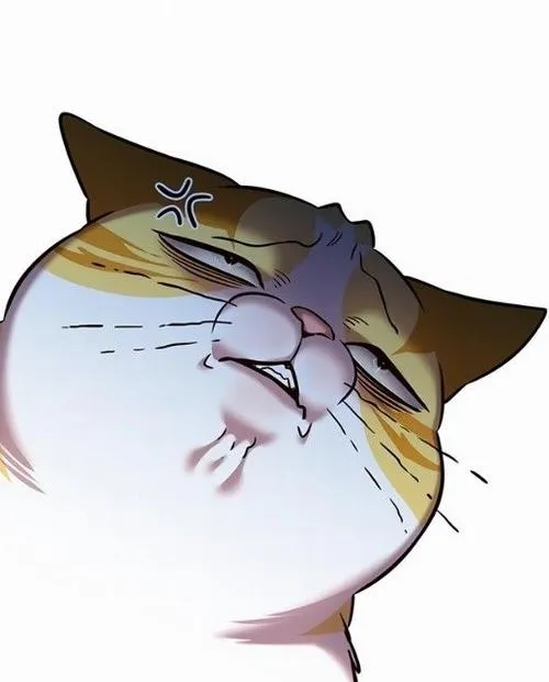 Ảnh đại diện mèo vô tri giữa màu sắc tương phản đơn giản